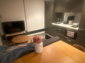 Modern South Yarra Studio